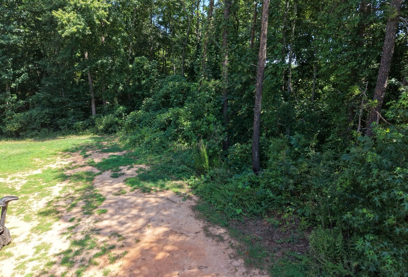 Property before land clearing